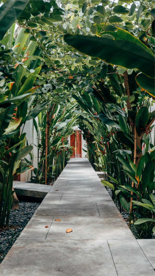 Vertical shot of a concrete pathway with green plants on the sides